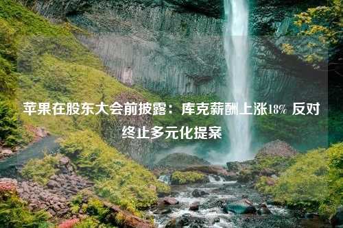 苹果在股东大会前披露：库克薪酬上涨18% 反对终止多元化提案