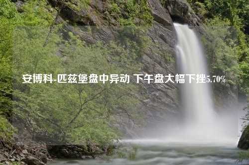 安博科-匹兹堡盘中异动 下午盘大幅下挫5.70%